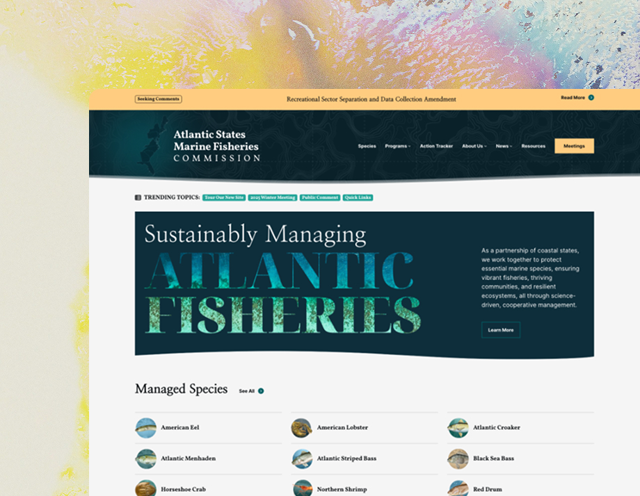 ASMFC website screenshot