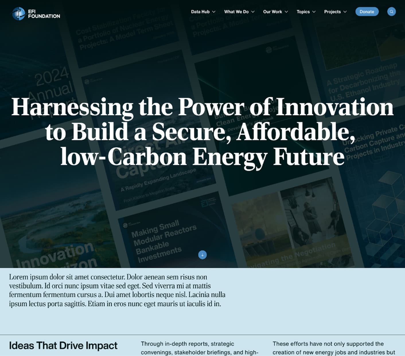EFI Foundation featured page layout screen grab
