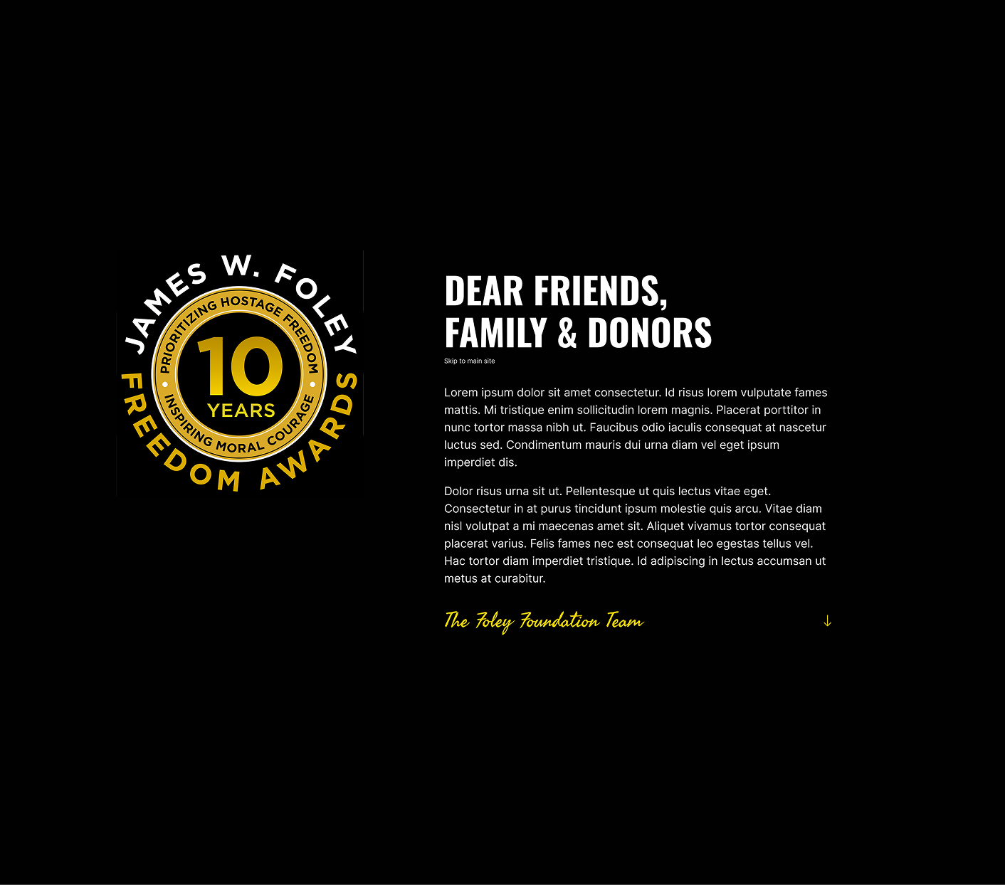 Screenshot from new Foley Foundation website featuring the initial splash page content.