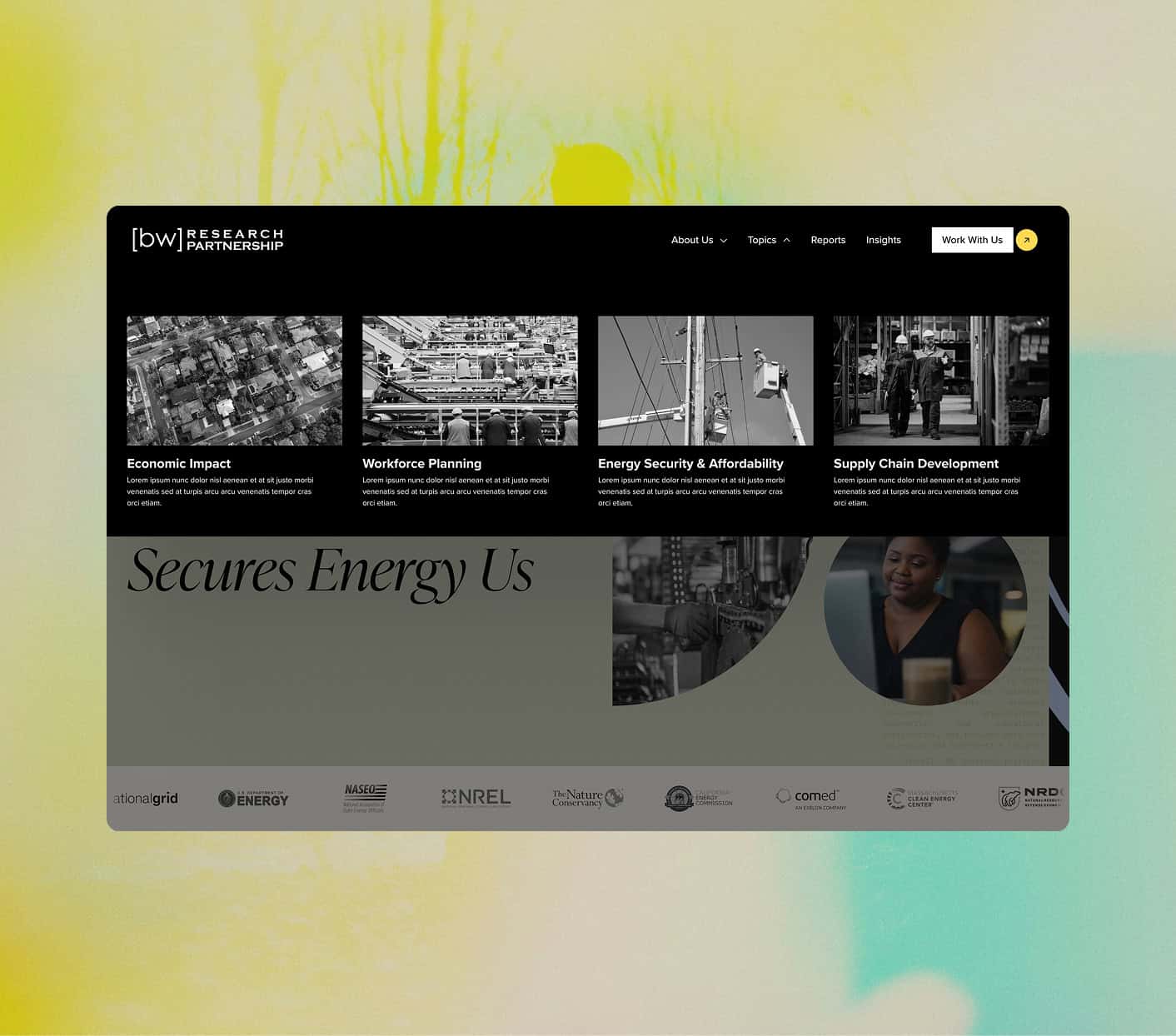 Screen shot of the dropdown mega menu layout for the BW Research website.