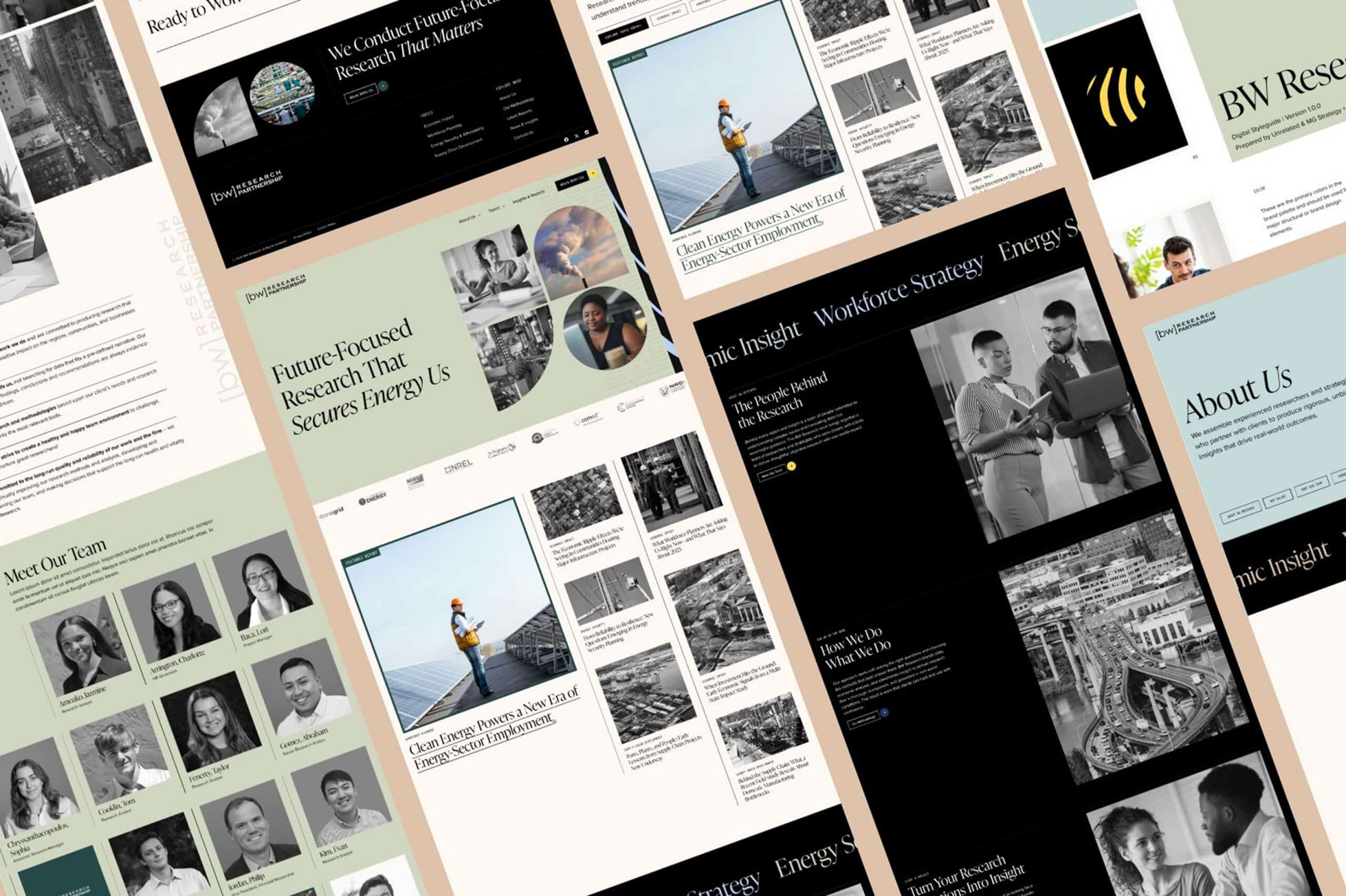 Various web site interface examples from the new BW Research website.